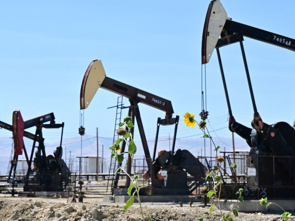 Solar Power Containers for Wykorzystywać